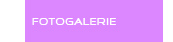 Fotogalerie