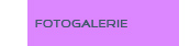 Fotogalerie